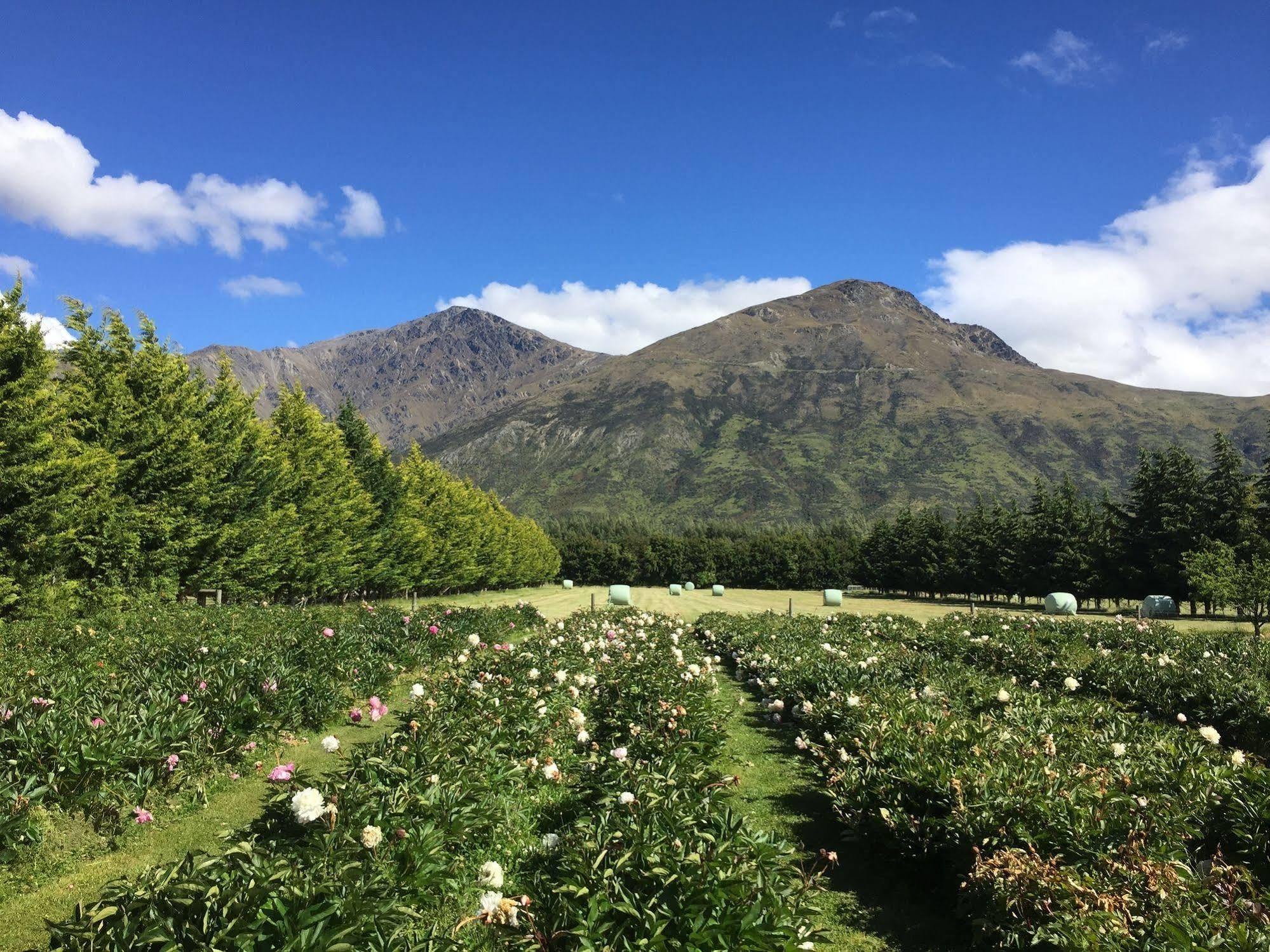 Queenstown Country Lodge Lake Hayes Exterior photo